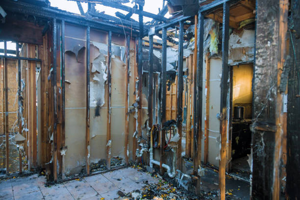 Professional Smoke Damage Removal technician working in Hartland, WI